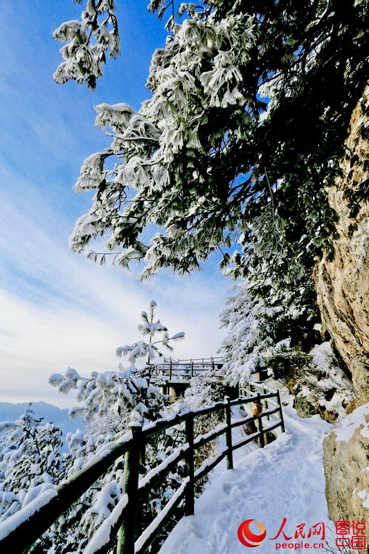 ? ?? ?? ????, ????? ???