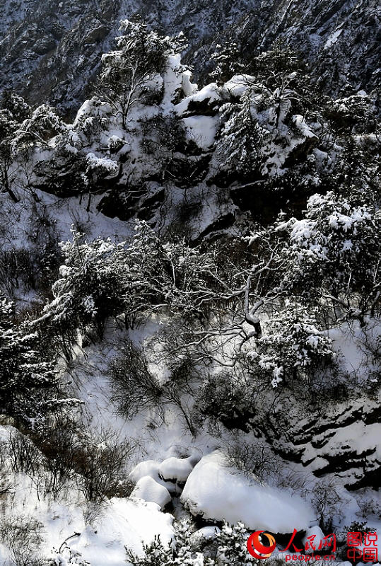 ? ?? ?? ????, ????? ???