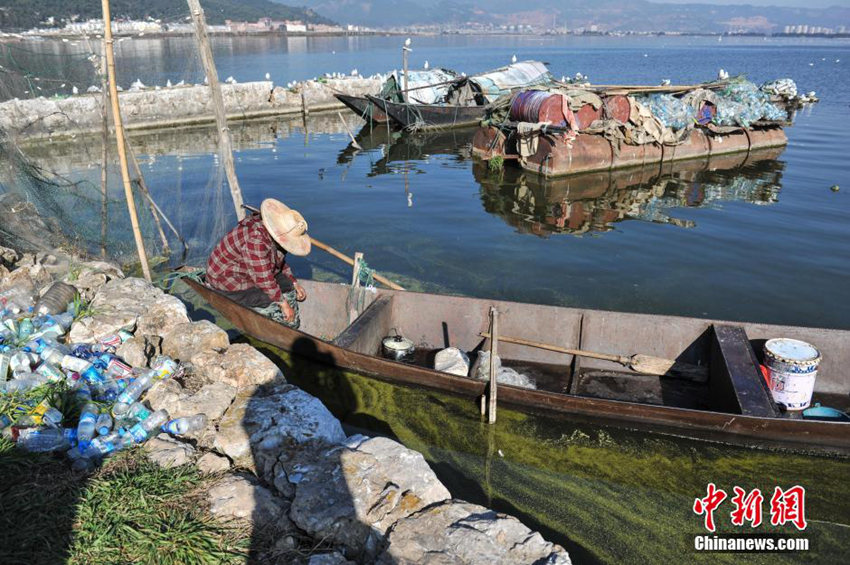 ???? ???, 7?? ?? ???? ???