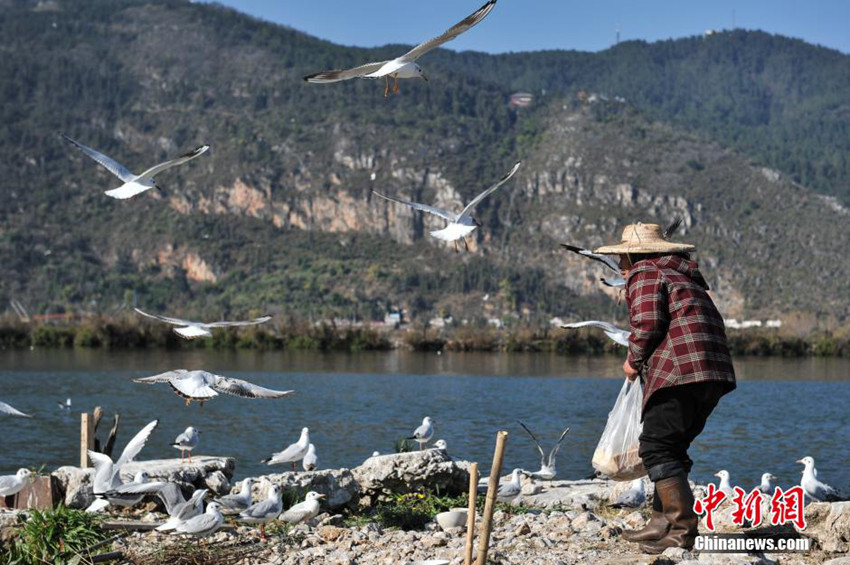 ???? ???, 7?? ?? ???? ???