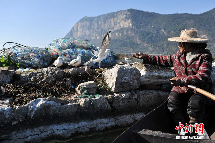 ???? ???, 7?? ?? ???? ???