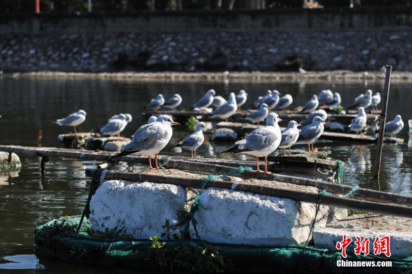 ???? ???, 7?? ?? ???? ???