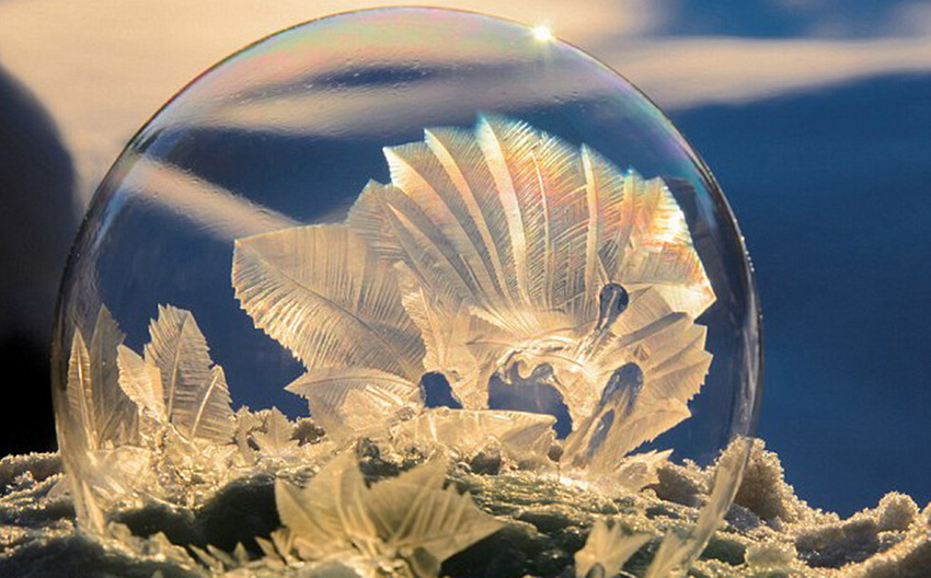 ??? ???? ?? ?? ???? ??