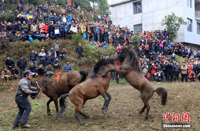 ?? ?????? ??? ?? ??? ?? ??