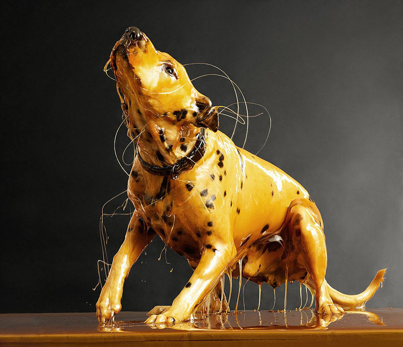 ?? ? ?? ??? ? ??? ???? ??