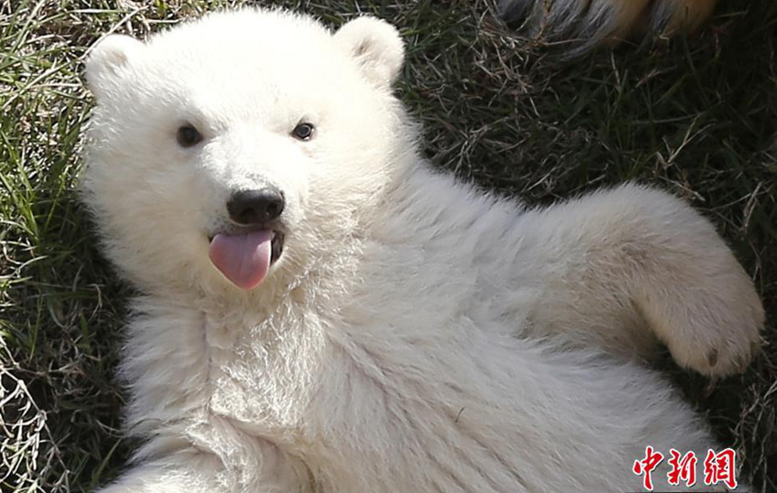 ??? ??(母子)? ?? ??? ?!