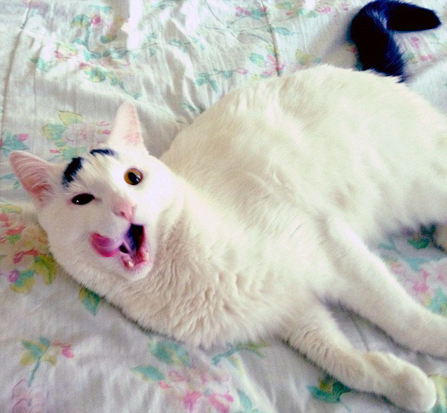 ???? ??? ‘?? ??’? ???