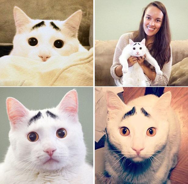 ???? ??? ‘?? ??’? ???