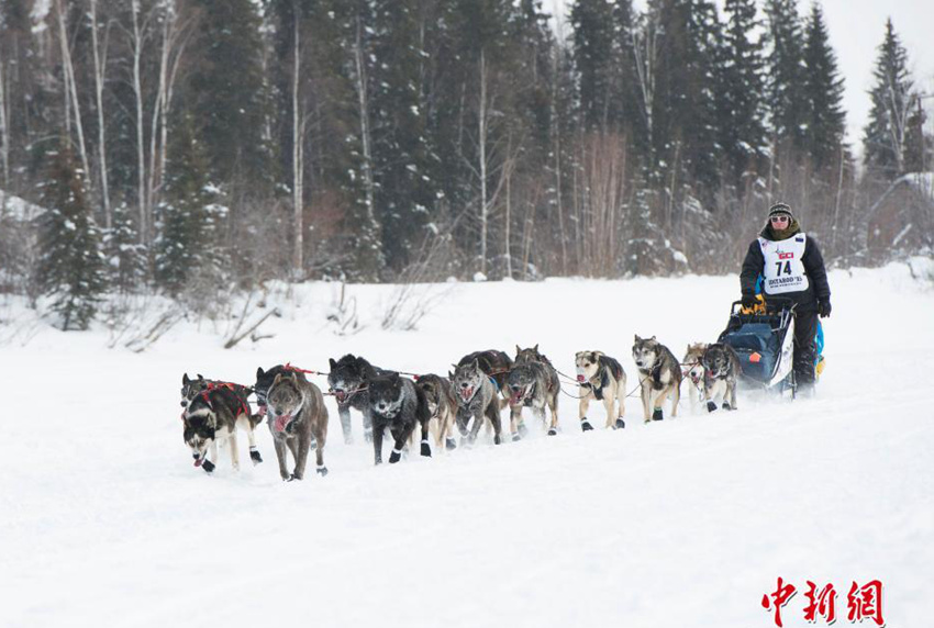 ???? ??? ????, ?? ??? ?? ??