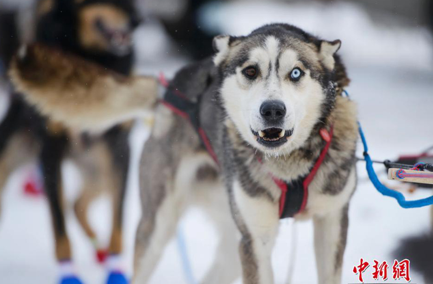 ???? ??? ????, ?? ??? ?? ??