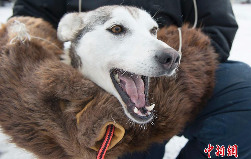 ???? ??? ????, ?? ??? ?? ??