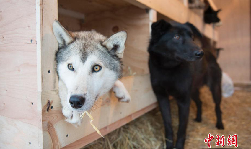 ???? ??? ????, ?? ??? ?? ??