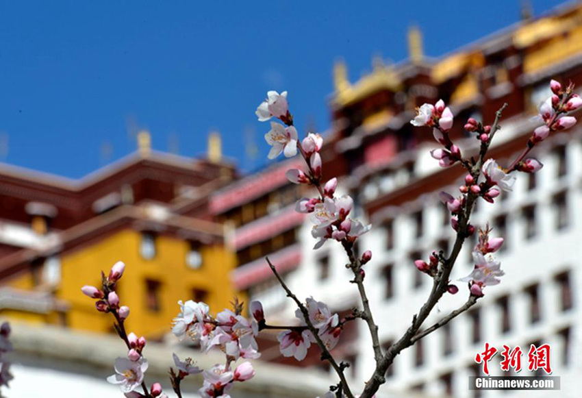 ??? 3?? ?, ?? ???? ?? ??