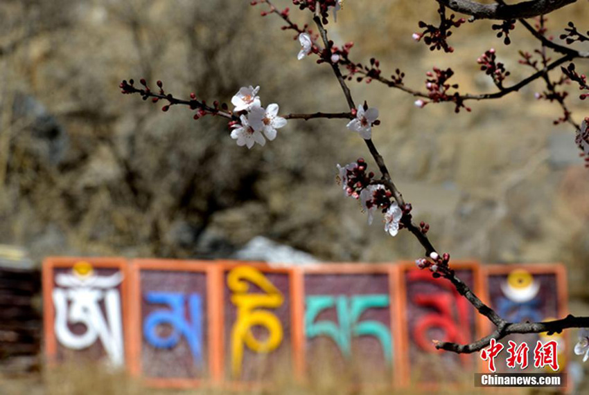 ??? 3?? ?, ?? ???? ?? ??