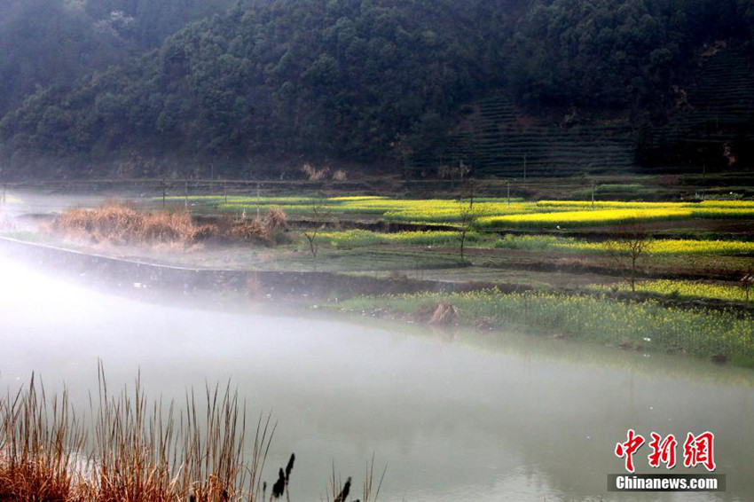 ??? ???? ?? ?? ??, ???? ??? ?