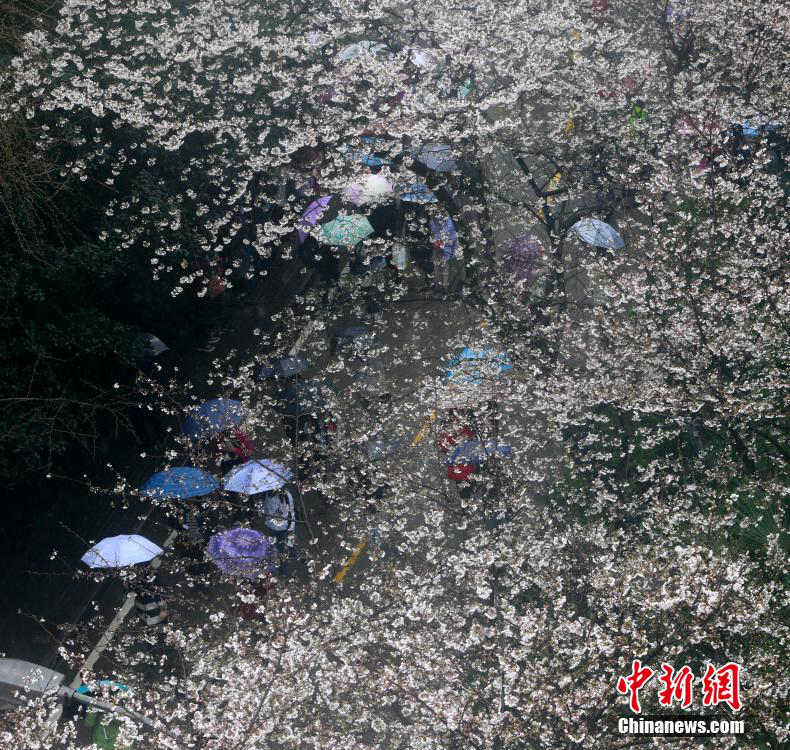 ?? ?? ??, ?? ?? ??? ??? ????