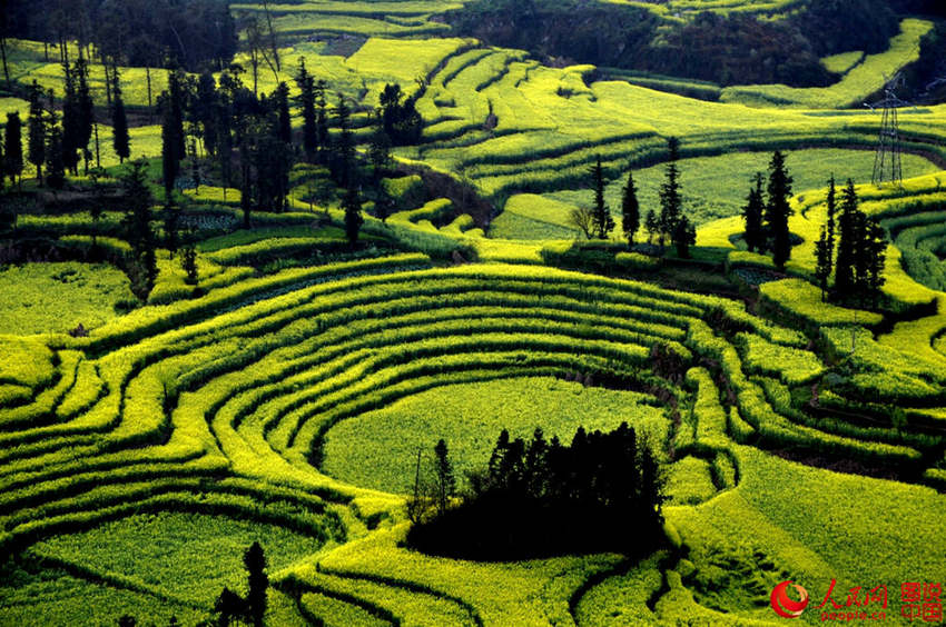 ?? ???, ???? ??? ?? ?? ????