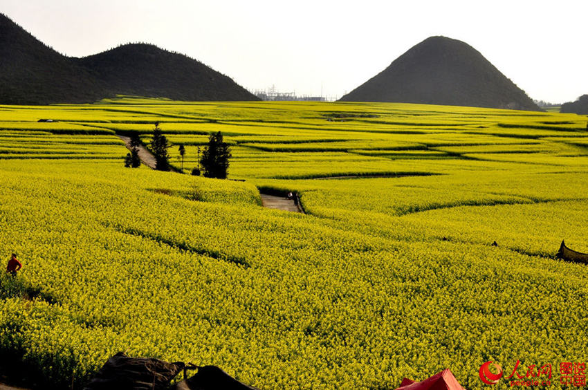 ?? ???, ???? ??? ?? ?? ????