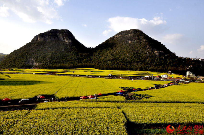 ?? ???, ???? ??? ?? ?? ????