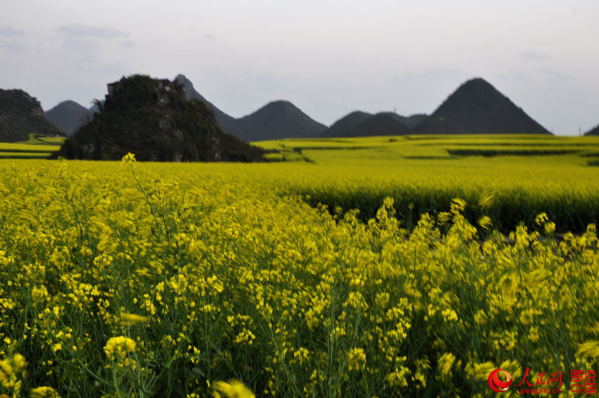 ?? ???, ???? ??? ?? ?? ????