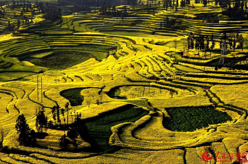 ?? ???, ???? ??? ?? ?? ????