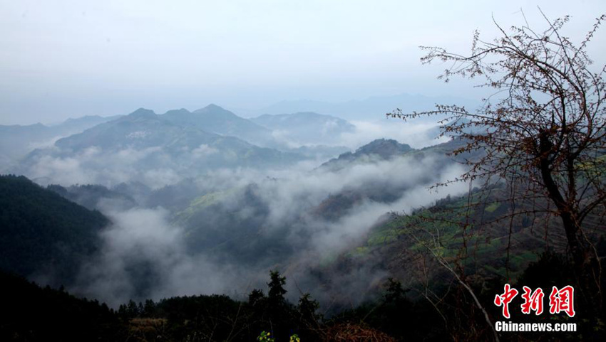 ??? ??? ????, ???? ??? ??