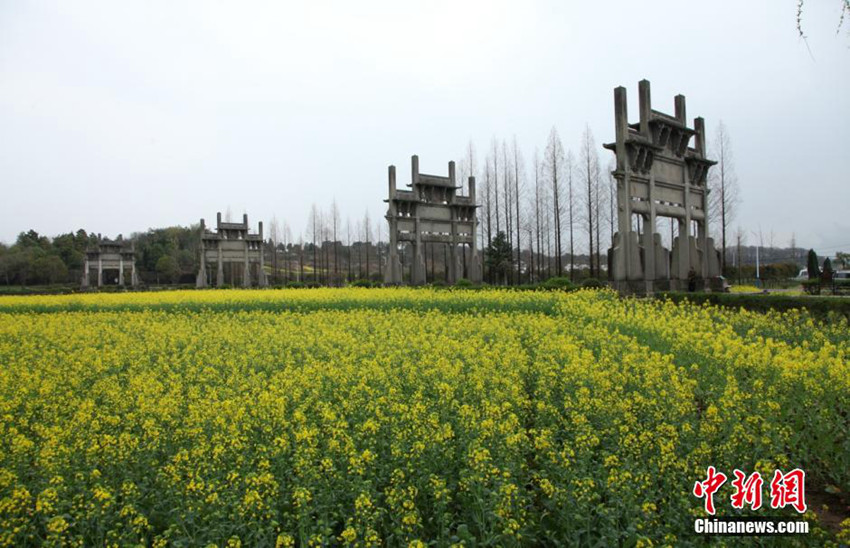 ??? ??? ????, ???? ??? ??