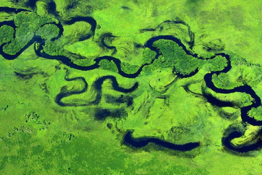 ??? ????? ?? ‘??? ????’