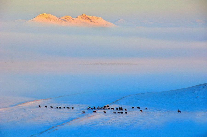 ??? ????? ?? ‘??? ????’