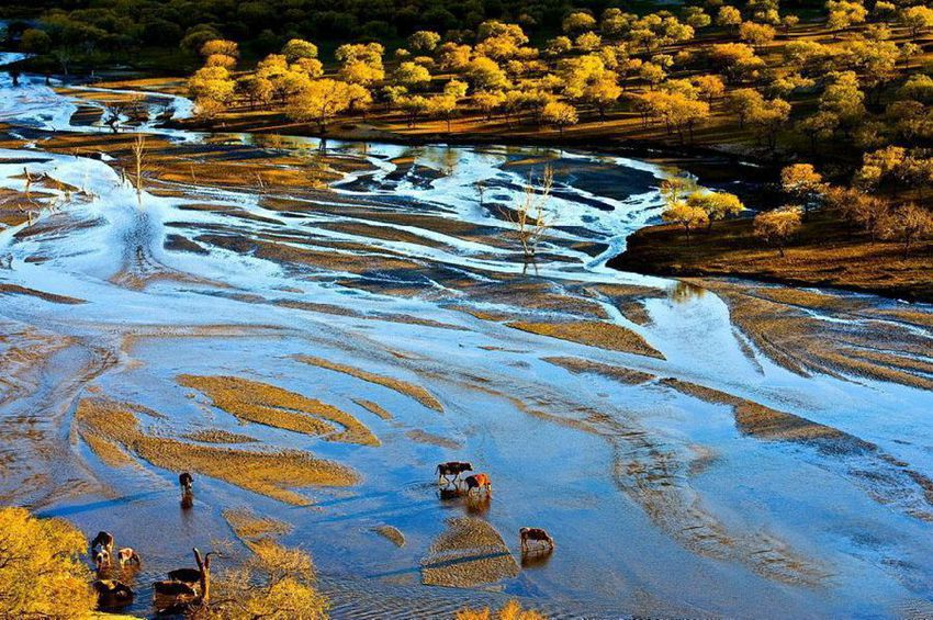 ??? ????? ?? ‘??? ????’