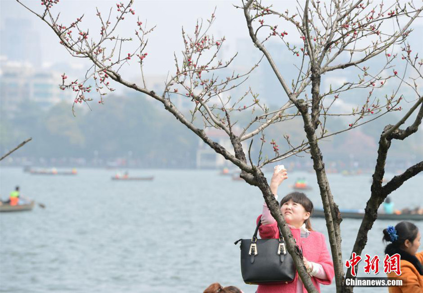 ??? ?? ??? ???, ??? ??? ?????