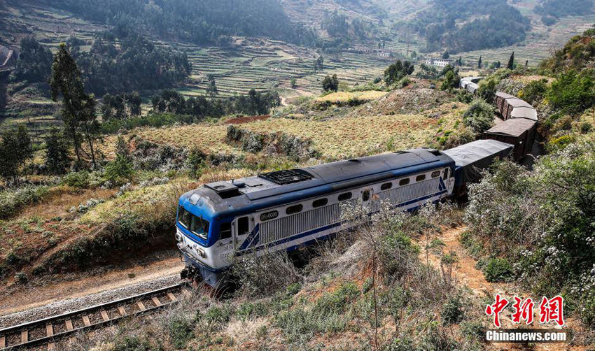 ???? 111?? ??, ??? ????? ???