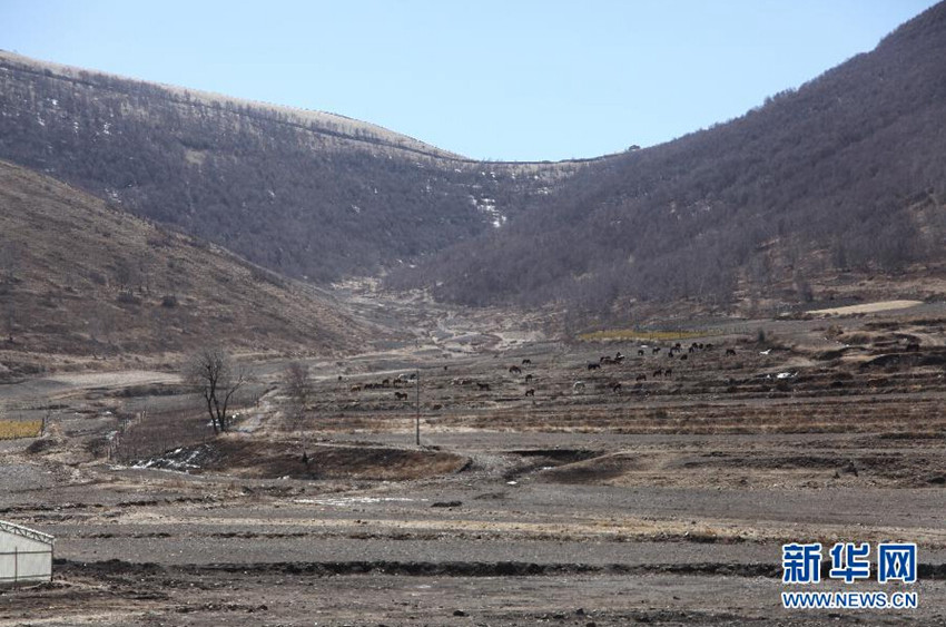 IOC, ????? ??? ???? ???? ??