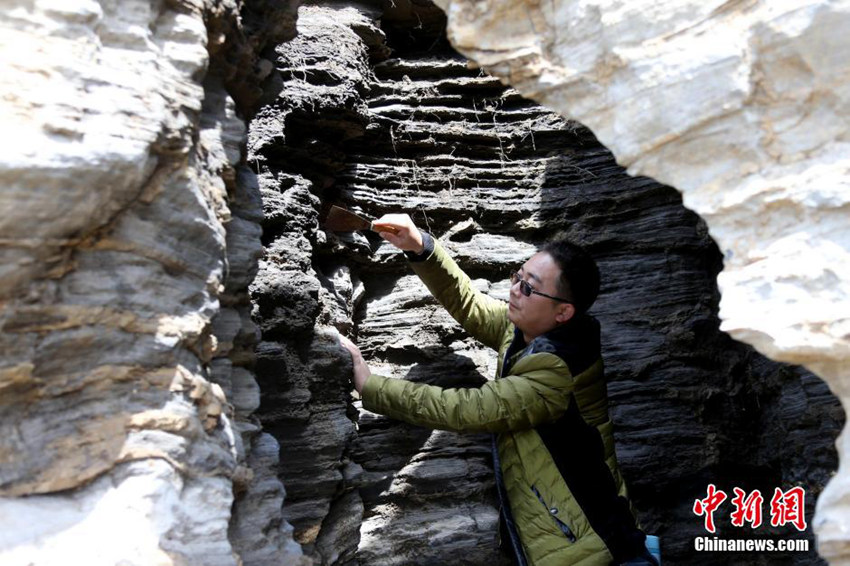 ???(安徽) ??(黃山)? ??? ‘??’ ?? ??