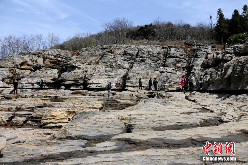 ???(安徽) ??(黃山)? ??? ‘??’ ?? ??