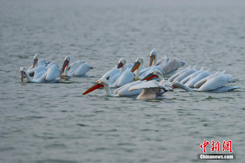 ?? ??? ???? ??? 68?? ???