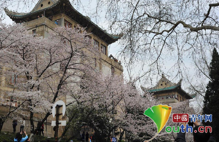 ???? ??? ???, ????? ????