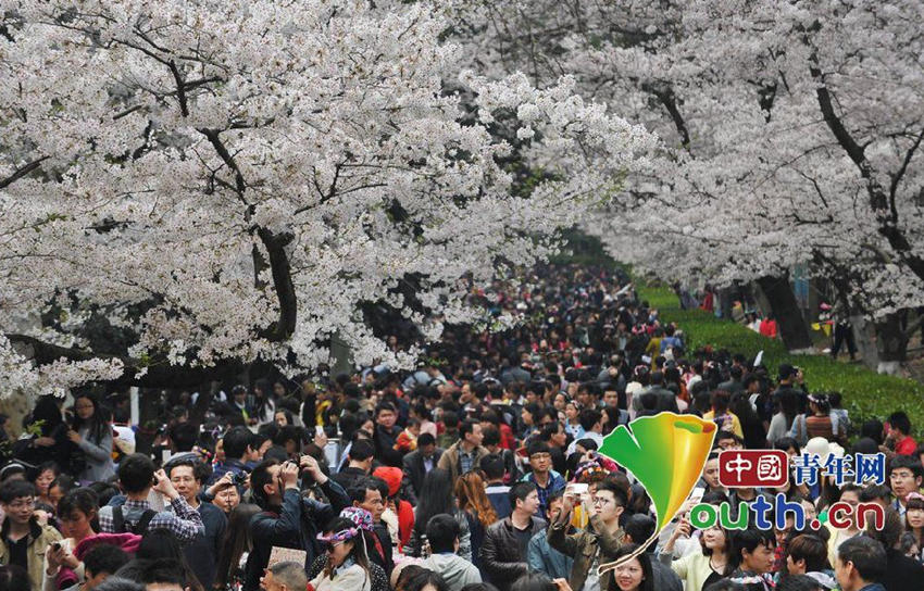 ???? ??? ???, ????? ????