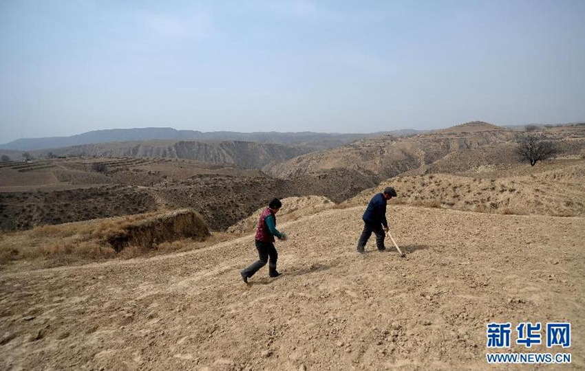 ? ?? ??? ?? ??, ??? ?? ??