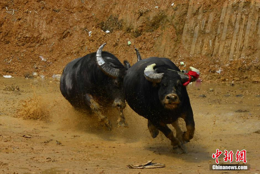 ???? ????? ?? ??…??? ??? ??