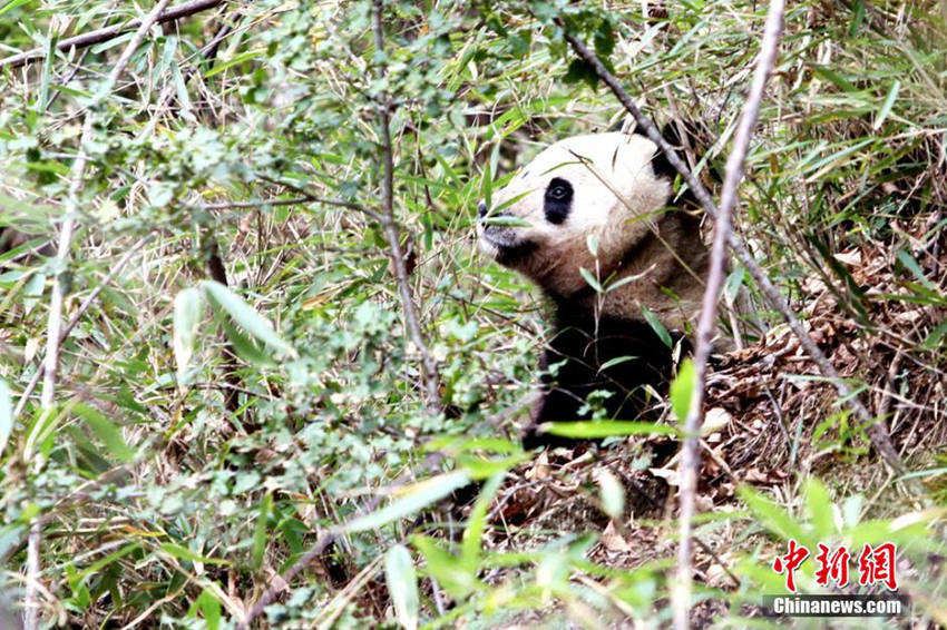 ?? 4? ?? ??? ??, ?? ?? 345??