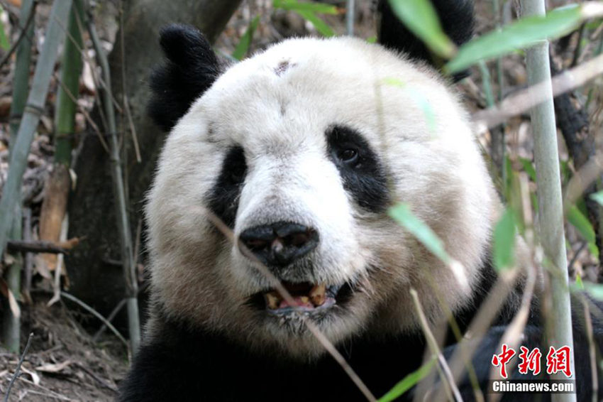 ?? 4? ?? ??? ??, ?? ?? 345??