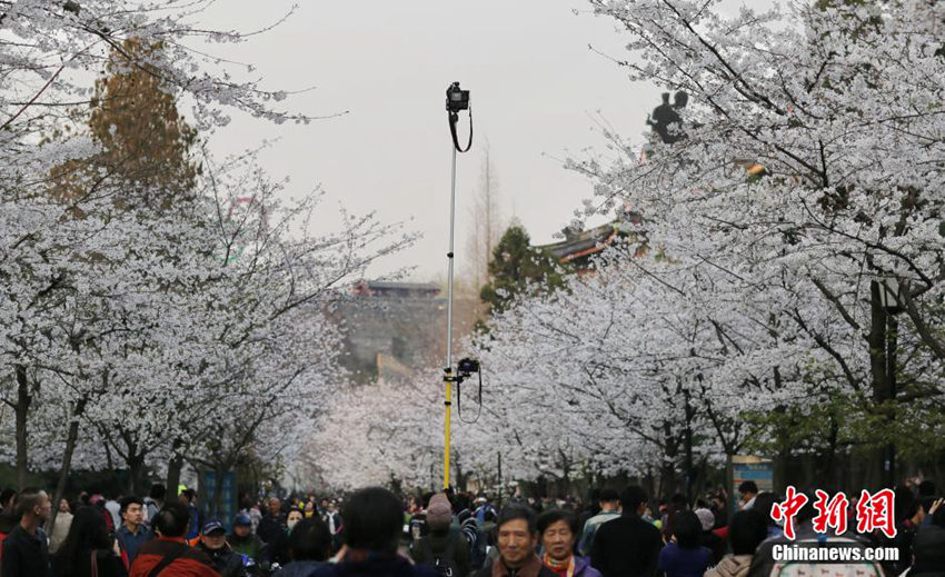 ???? ?? ??, ?? ? ?? ?? ??