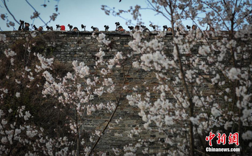 ???? ?? ??, ?? ? ?? ?? ??