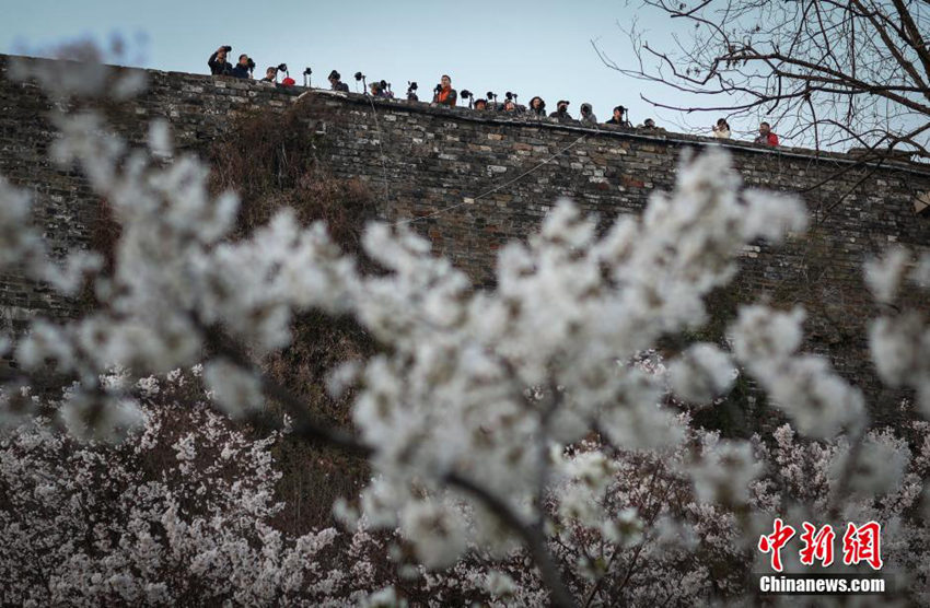 ???? ?? ??, ?? ? ?? ?? ??