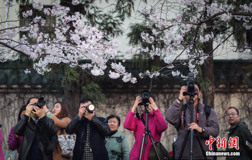 ???? ?? ??, ?? ? ?? ?? ??