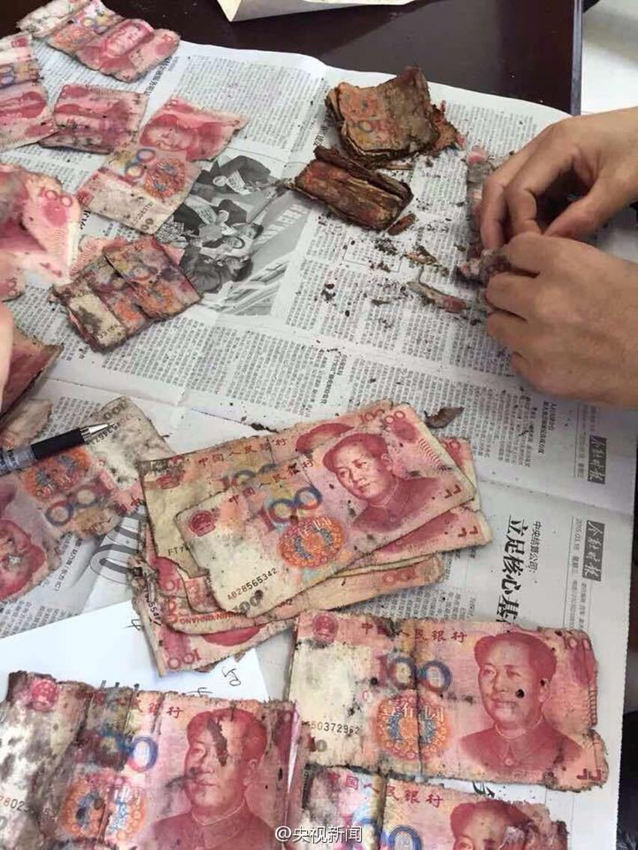 ???? ??, ?? ??? ? ??? ?? ??