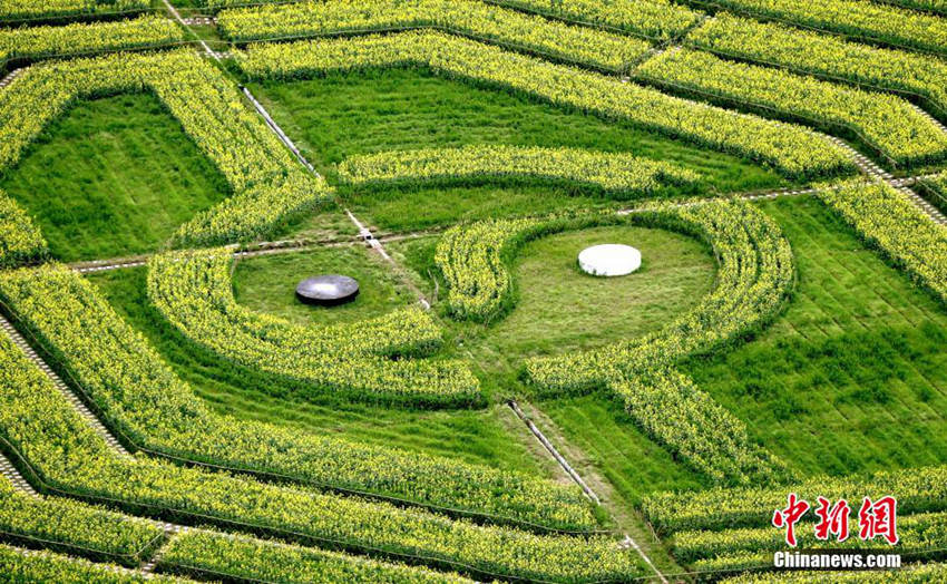 ??? ??? ?? ‘????’ ???? ‘??’