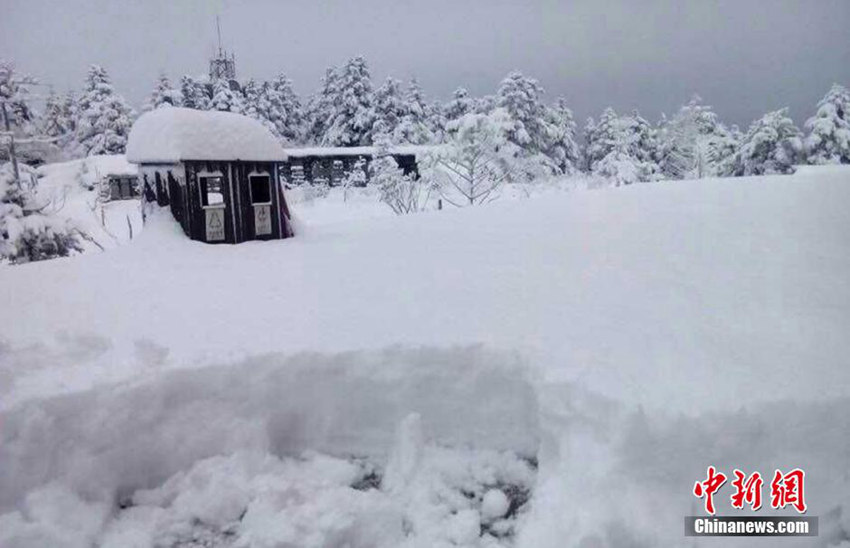 ?? ???? ??, ???? ?? ?? ??