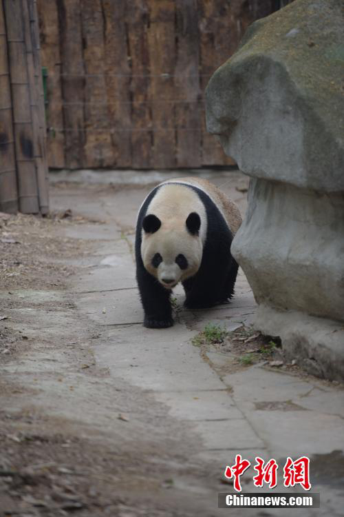 ??, ???? ?? ?? ?? ‘??(蜀蓉)’ ?? 